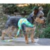 Fabric Dog Harness with Leash - Pineapple Luau