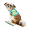 Fabric Dog Harness with Leash - Pineapple Luau