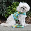 Fabric Dog Harness with Leash - Pineapple Luau